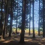 Mucca - La Cantina Del Contadino Rende